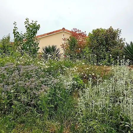 アパート Domaine De Marodi Jasmin