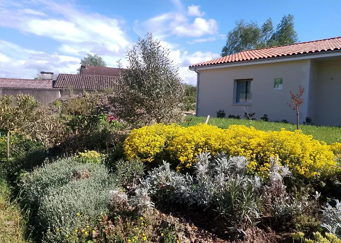 Jasmin * Baignes-Sainte-Radegonde